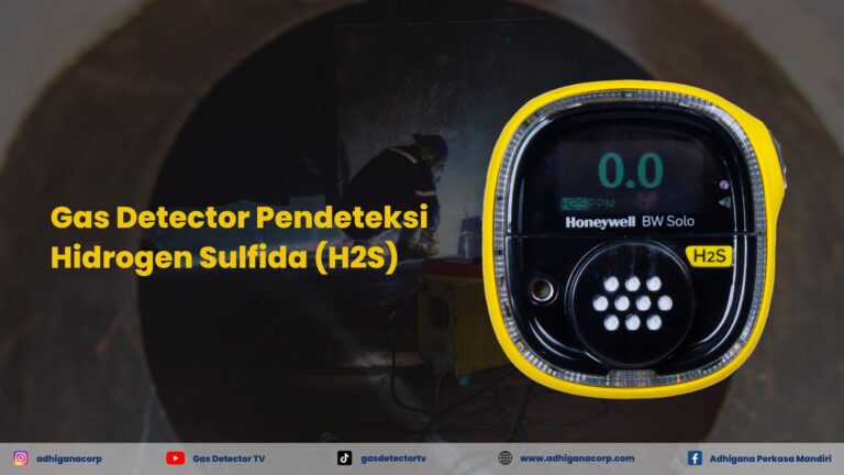 Gas Detector Hidrogen Sulfida