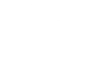 ISO-9001