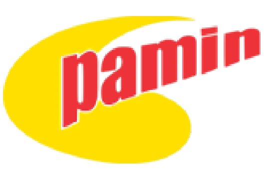 Panin Logo